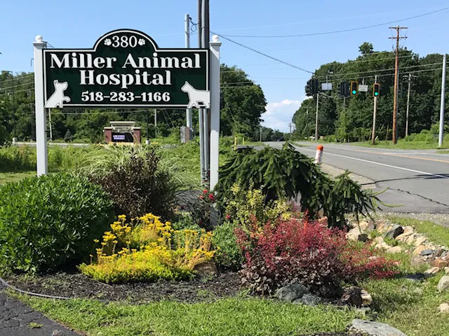 Miller Animal Hospital Picture 10