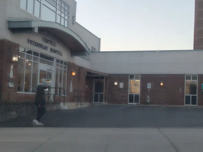 Central Veterinary Hospital Picture 6