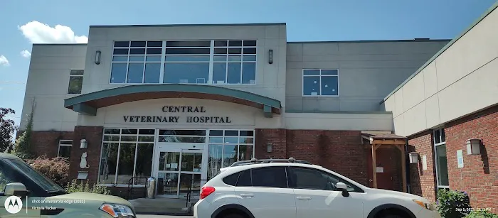 Central Veterinary Hospital Picture 9