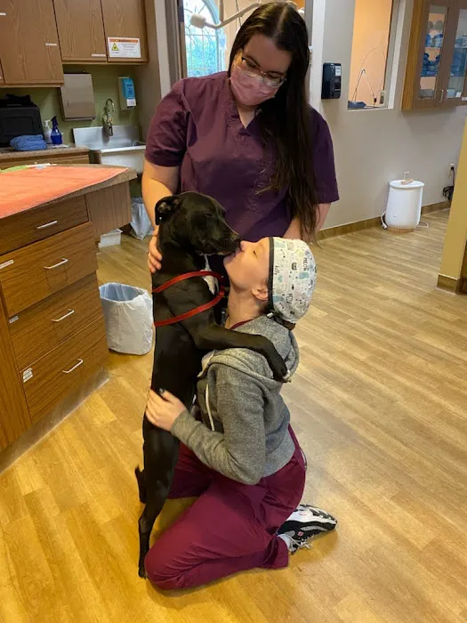 4 Paws Veterinary Care PLLC Picture 4