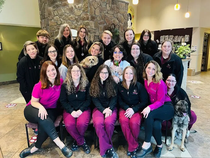 4 Paws Veterinary Care PLLC Picture 7