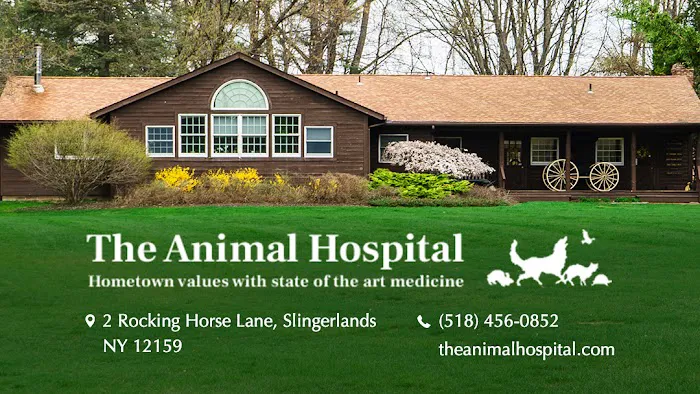 The Animal Hospital Picture 4
