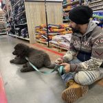 PetVet Vaccination Clinic