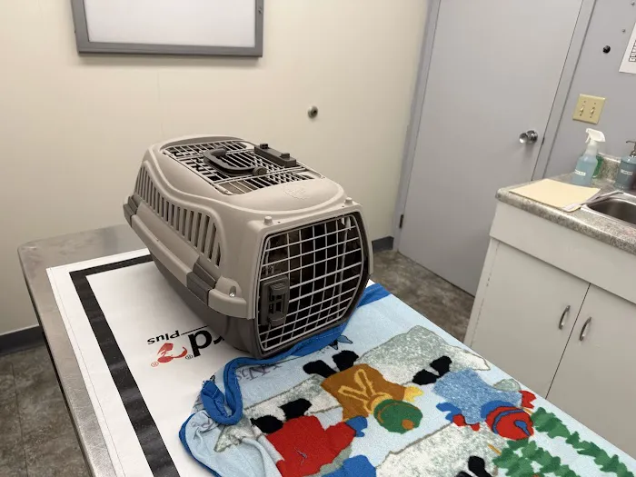 Guilderland Animal Hospital Picture 9