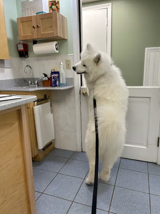 Central New Hampshire Animal Care Picture 2
