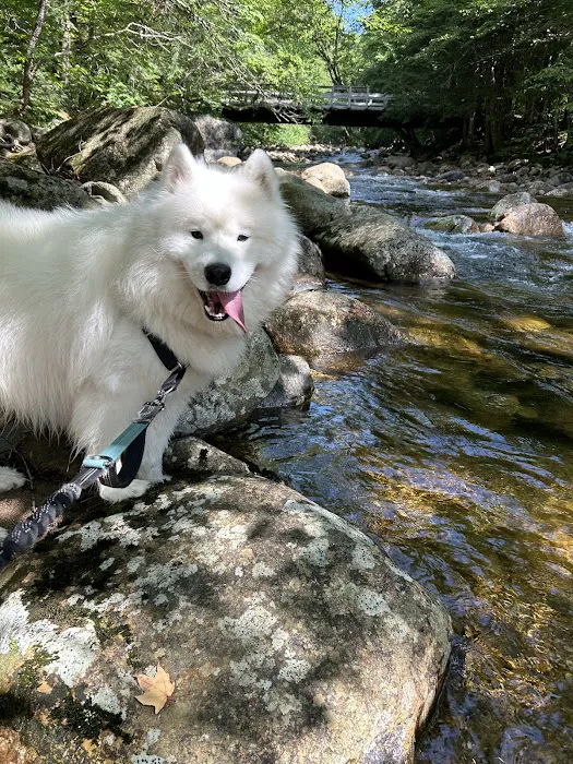 Central New Hampshire Animal Care Picture 3