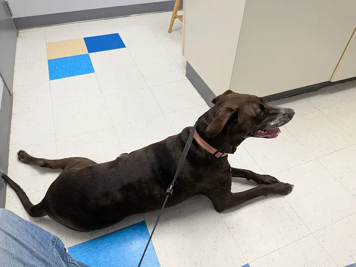 Orchard Village Animal Clinic Picture 1
