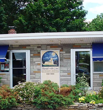 Orchard Village Animal Clinic Picture 2