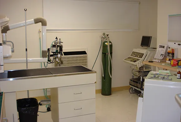 Orchard Village Animal Clinic Picture 10