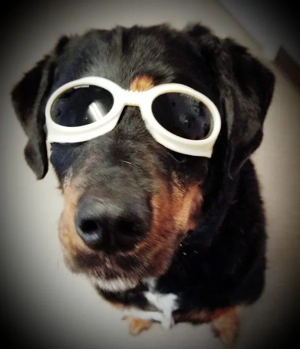Suncook River Veterinary Clinic Picture 2