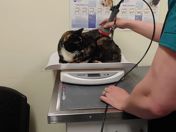 Suncook River Veterinary Clinic Picture 9