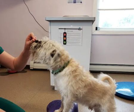 Suncook River Veterinary Clinic