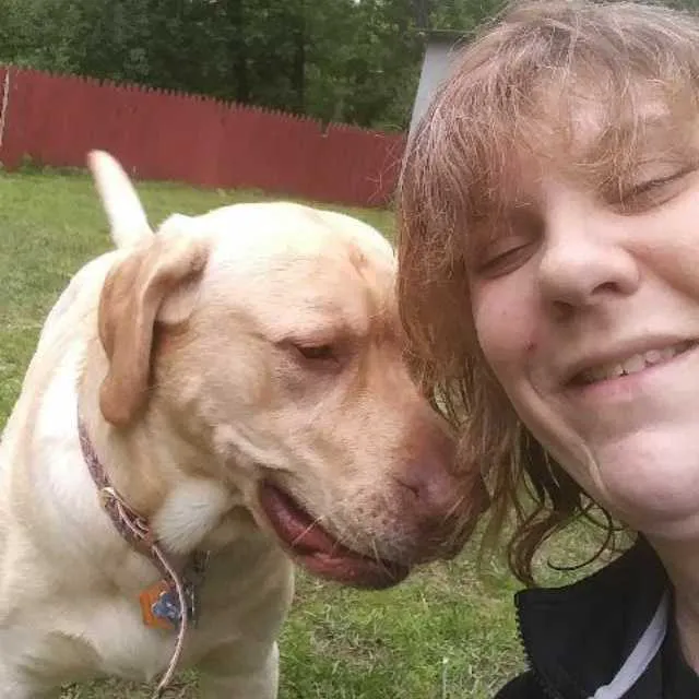 VCA Laconia Animal Hospital Picture 5