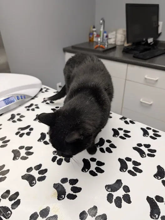 VCA Lakes Region Veterinary Hospital Picture 3