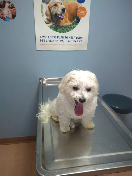 VCA Lakes Region Veterinary Hospital Picture 8