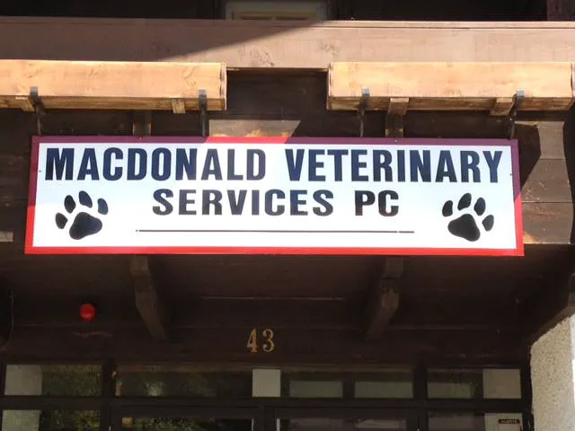 Birch Bark Veterinary Clinic Picture 7