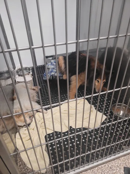 Animal Medical Center of the Upper Valley Picture 9