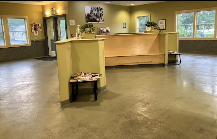 Veremedy Pet Hospital Picture 5