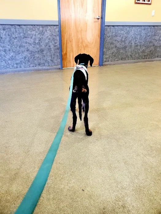 Veremedy Pet Hospital Picture 3