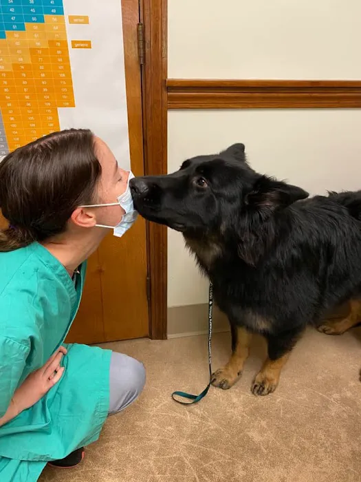 Hanover Veterinary Clinic Picture 10