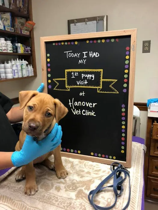 Hanover Veterinary Clinic Picture 7