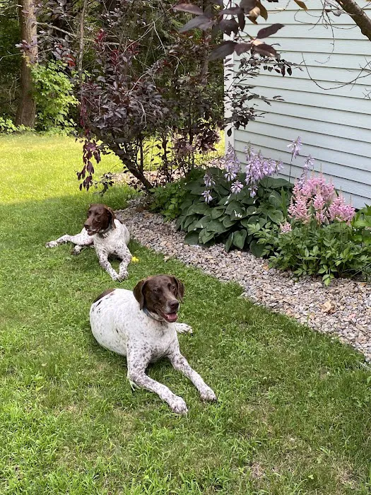 Northern Lakes Veterinary Hospital Picture 5