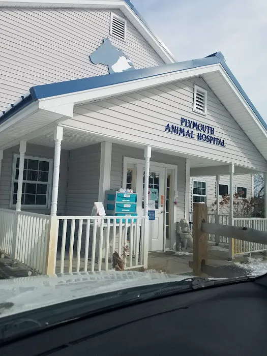 Plymouth Animal Hospital: Tighe Ellyn K DVM Picture 3
