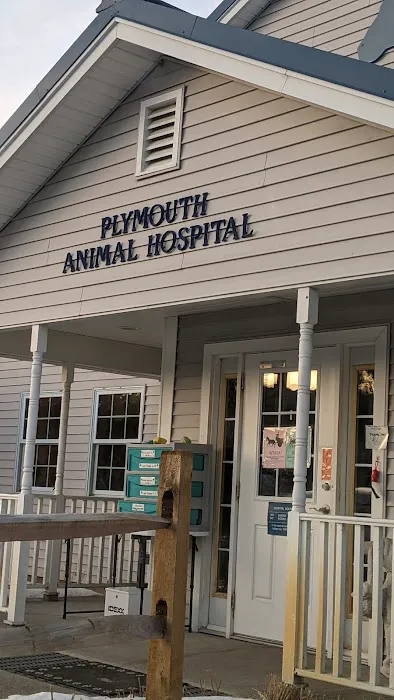 Plymouth Animal Hospital: Tighe Ellyn K DVM Picture 7