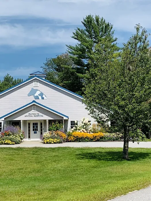 Plymouth Animal Hospital Picture 3