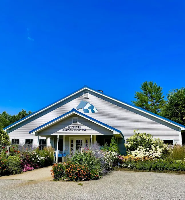 Plymouth Animal Hospital Picture 6