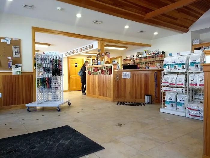 Interlakes Animal Hospital Picture 6