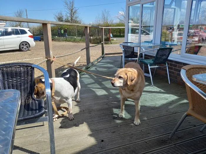 River Road Veterinary Clinic Picture 5