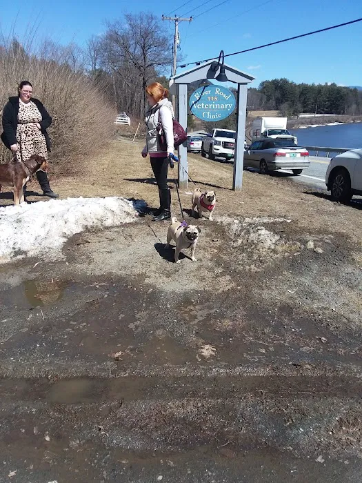 River Road Veterinary Clinic Picture 6