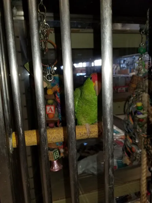 Wet Pets Picture 2