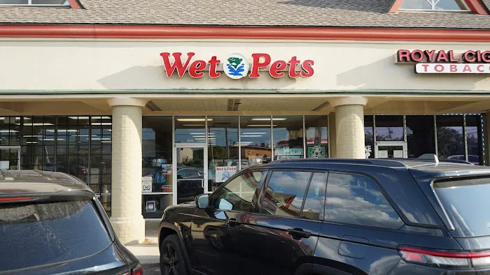 Wet Pets Picture 1