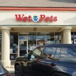 Wet Pets