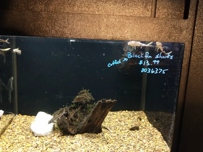 Petland Montgomery Picture 7