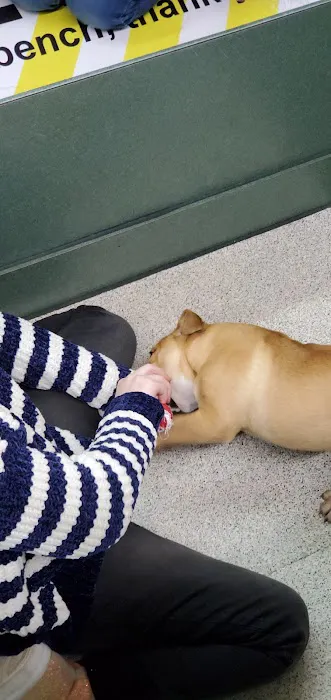Petland Montgomery Picture 4
