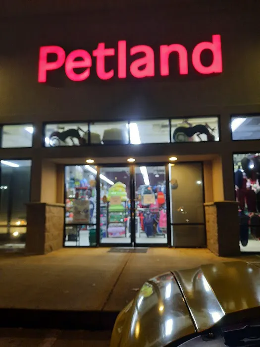 Petland Montgomery Picture 3