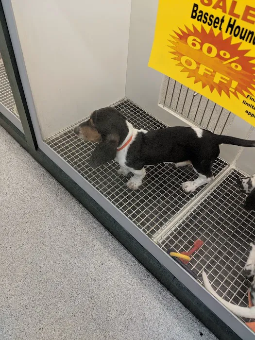 Petland Montgomery Picture 10