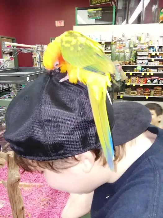 Petland Montgomery Picture 2