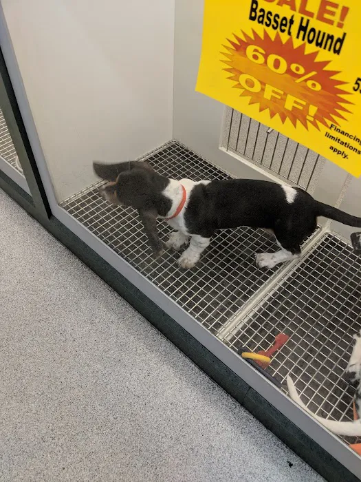 Petland Montgomery Picture 5