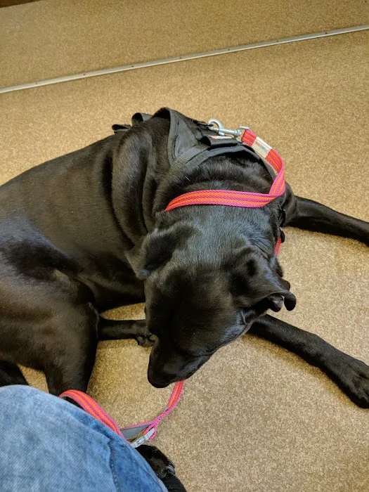 Rumney Animal Hospital Picture 1