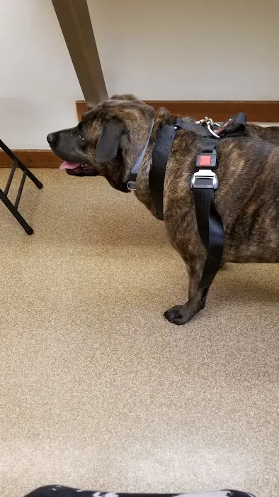 Rumney Animal Hospital Picture 2