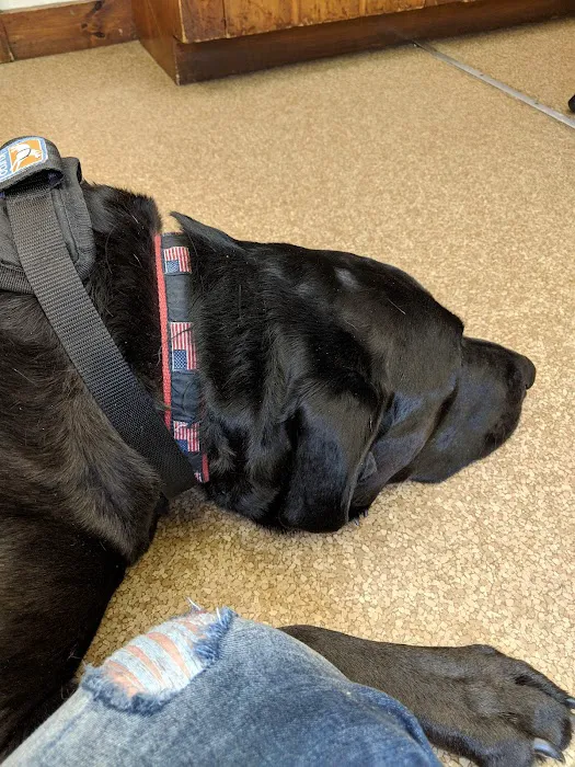 Rumney Animal Hospital Picture 4
