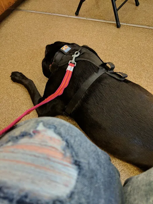 Rumney Animal Hospital Picture 3