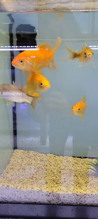 Aquarium Workshop Picture 1