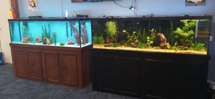 Aquarium Workshop Picture 6