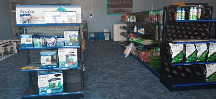 Aquarium Workshop Picture 9