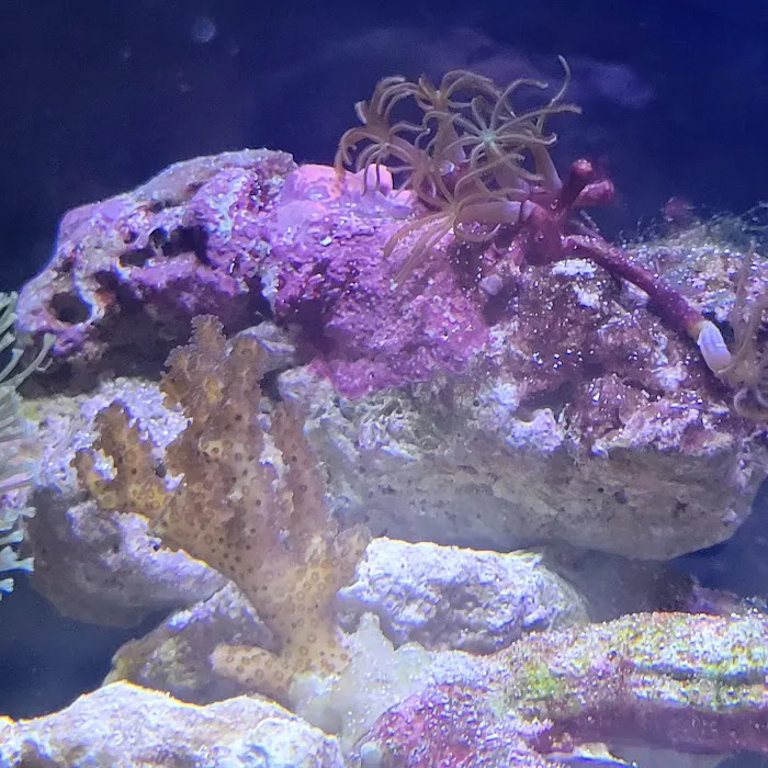 Aquarium Workshop Picture 10